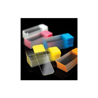 Microscope Slide