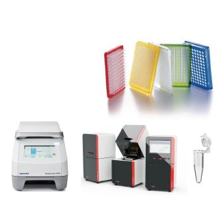 Molecular Diagnostics